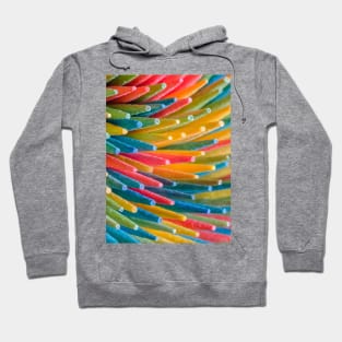 Rainbow Multicolored Toothpicks Macro Photograph Hoodie